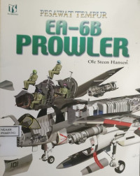 Image of PESAWAT TEMPUR EA-6B PROWLER