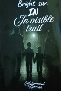 Image of BRIGHT SUN IN THE VISIBLE TRAIL